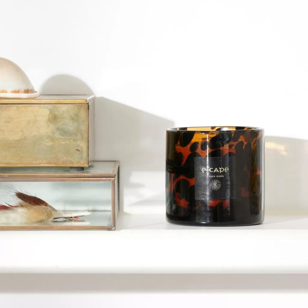 CASA ESCAPE BLACK OUDH Marrón, Ocre, Multicolor