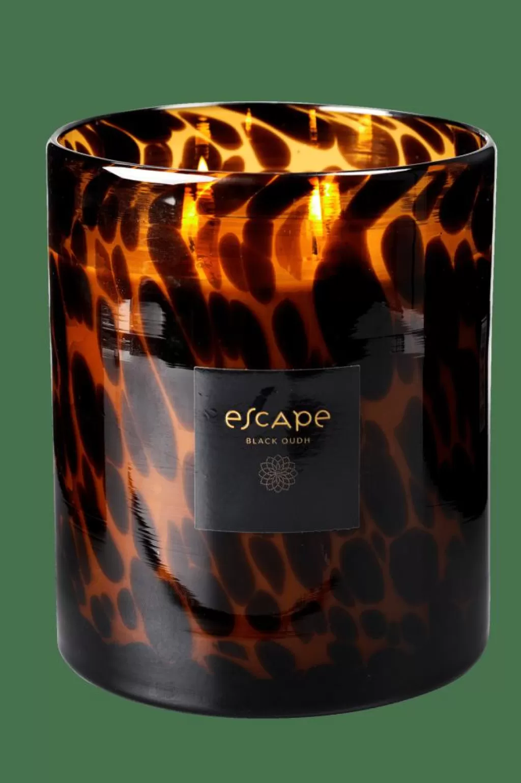 CASA ESCAPE BLACK OUDH Negro, Marrón, Ocre