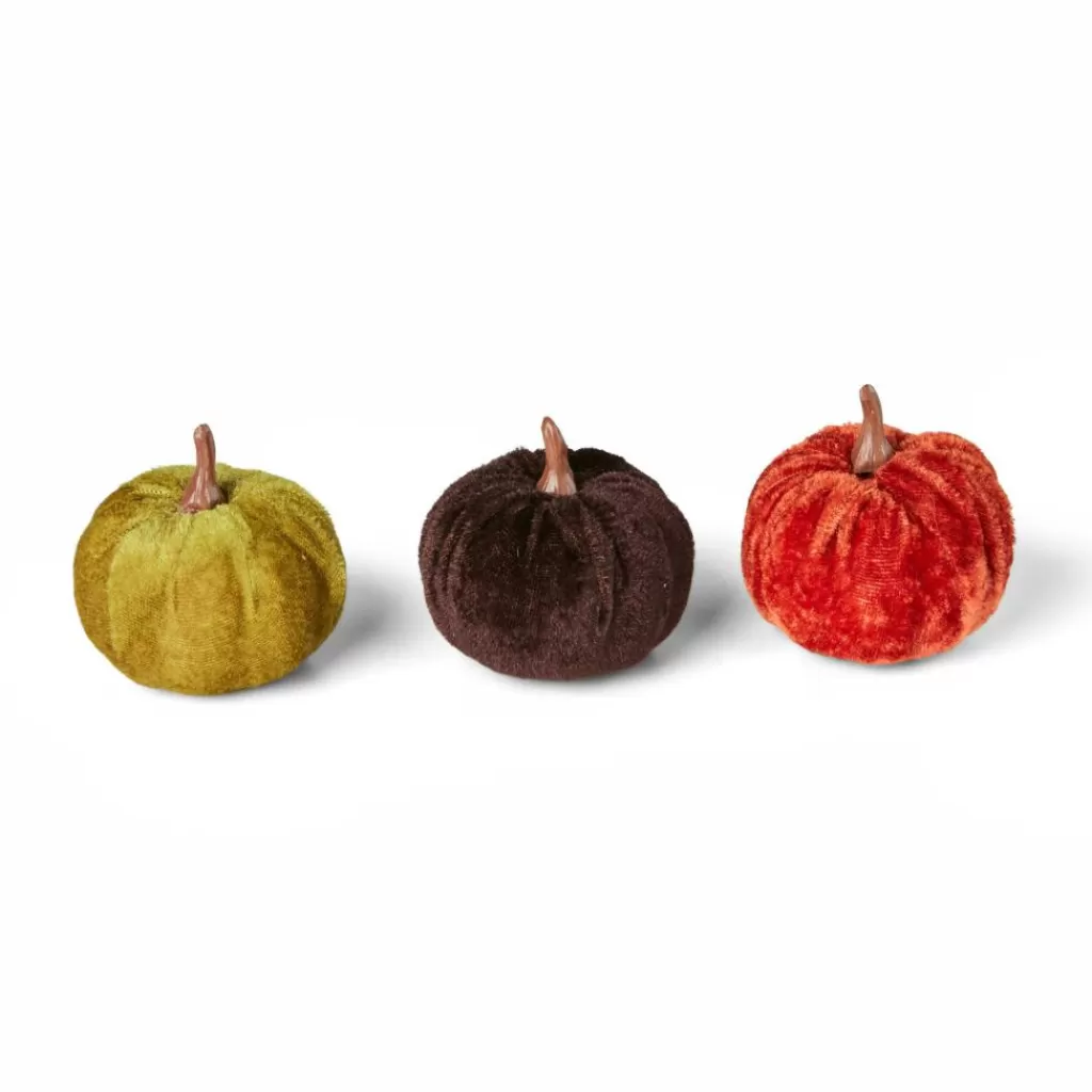 CASA VELVET Calabaza Decorativa Juego De 3 Multicolor
